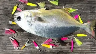 Catching Pompano on Jigs and Teaser Lures