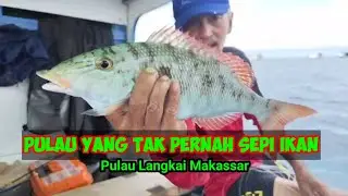 Panen Terus! Tak Ada Habisnya Ikan di Pinggir Pulau Ini