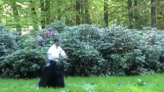 Aikido demo: 31 jo-kata