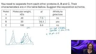 protein separation based on their characteristics - practice problem