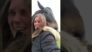 Grooming with my horse 🐴 #shorts #equine #horse