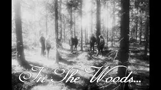 In The Woods... Live at November To Dismember 11-11-2000