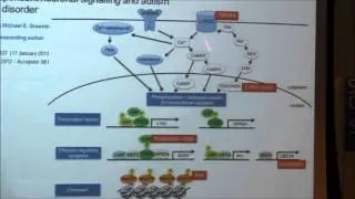 Synaptic alterations in murine models of Rett syndrome