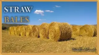 Relaxing guitar music - Wheat Straw Bales - Relaxing music for sleeping