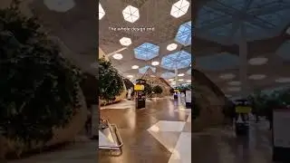 Честно говоря, никогда еще не чувствовал себя так хорошо в аэропорту ✈️ 🤩 #баку #азербайджан #аэр...