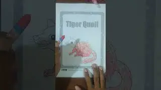 🐾 Rare and radiant &ndash; meet the Tiger Quoll in technicolor! #viralvideo #video #shortvideo