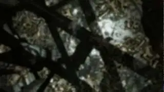 Tomb Raider Del 1: Pilot