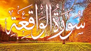 سورة الواقعة بترتيل خاشع للشيخ ناصر القطامي  sourat al wakiaa