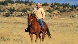 Sage-Grouse Initiative - An Overview
