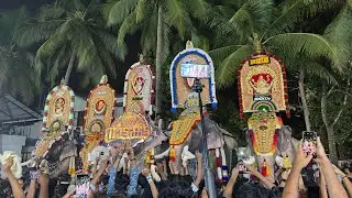 Mammiyur Sree Narayanamkulangara bagavathi temple Pooram 2026 full video