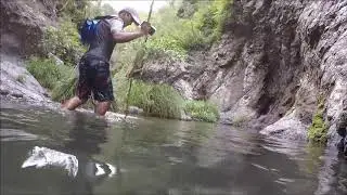 Northbrook Gorge 2019