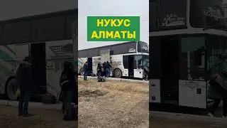 Алматы Нукус прямой рейс автобус #нукус #каракалпакстан #qaraqalpaqstan #nukus #nokis