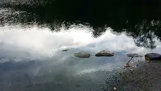 B&uuml;hl in Ahnatal-Weimar (13.10.2024) 💦