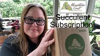 Mountain Crest Gardens Succulent Subscription Box Review and Unboxing