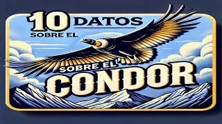 10 Datos Sobre El C&oacute;ndor