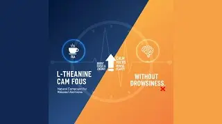 L-Theanine: Calm Focus Without Drowsiness