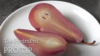 The HydroPro | Sous Vide Pears | Breville PolyScience
