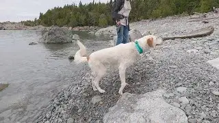 Lake Superior's Noisy Bay Trail - 2021 Northern Ontario Camping Escape - Ep 18