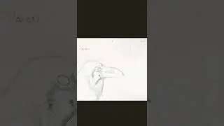 birb go caw~ |  Traditional Paper Animation (WIP?)