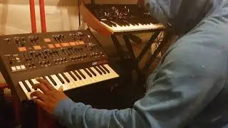 Korg ARP Odyssey meets Korg Prologue Ambient