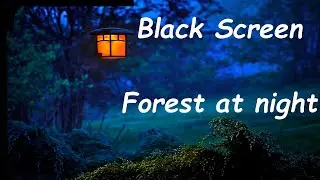 FOREST AT NIGHT 🌚🌳 crickets sound evevning asmr dreams calming nature sleep relaxation white noise