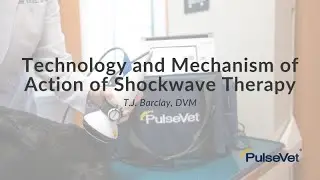 Technology and Mechanism of Action of Shockwave Therapy