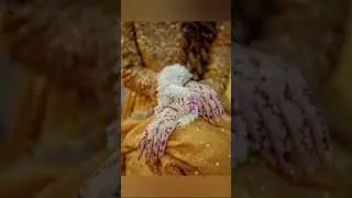 Neelam Muneer mayo Night😍 #neelammuneer #viralvideo #shorts #wedding