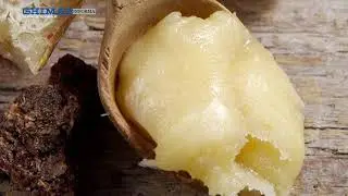 GHIMAS INFORMA PUNTATA 5 PAPPA REALE - BIOGEL - Puntata andata in onda il 31 01 2021