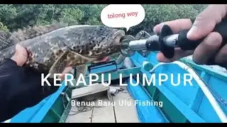 casting kerapu babon #kerapu #kerapubabon #kerapumonster #kerapusunu
