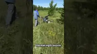Дикий сенокос мотоблоком#village #farming #nature #dailyvlog #vlogger #summer #haymaking