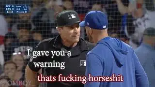 Chris Woodward gets ejected by &Aacute;ngel Hern&aacute;ndez, a breakdown