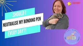 Should I Neutralise my Bonding Pen Every Day?!