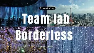 Japan:TeamLab Borderless Tokyo
