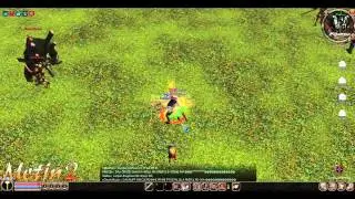 Metin2.Ro - Rulant in camuflaj!