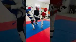 Back kick combination. #phonkmusic #karate #taekwondo #trending