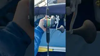 Shimano Torium 16hg Reel and Talavera Rod Combo #shimano #rodandreel