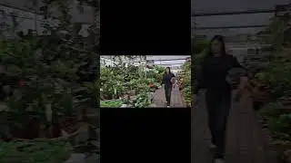 The Largest Garden Center I Have Seen In Israel
