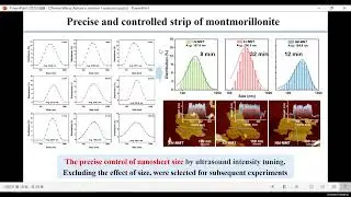 Two-dimensional montmorillonite membranes controlled for efficient cation transport