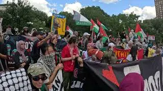 The founder and chair of Within Our Lifetime at a pro Gaza protest in Manhattan. 2of2