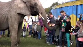 Olifant Buba van Freiwald Menagerie Circus krijgt lunch aangeboden
