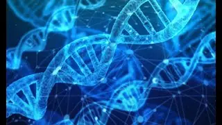 Understanding DNA for family history and finding relatives: Lesson one