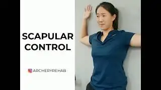 Scapular Control - Wall Angels