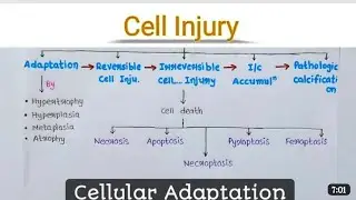Cell Injury । Cell Adaptation । General pathology ।#pathology #cell #drugs