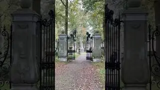 Mysterious Gates Discovered in the Middle of the Forest