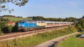 218 454 (Press) + 218 446 am IC 2013 in G&uuml;nzach!