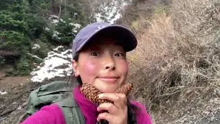 司卓龙峰烧香台（一天来回的徒步线路。）  四月份之前打算徒步一天来回的建议带好雪套 徒步起点海拔2800 最高海拔4000。 上山：5小时左右。   下山：3个小时左右。  #户外徒步登山 #乡村振