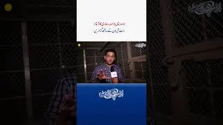 Lahore Safari Zoo Mein Night Safari Start - Night Lions Ke Sath Guzare Aur Lion Ko Khana Bhi Khilaye