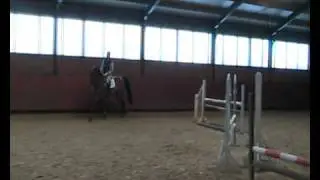 Sandro Beast E.B