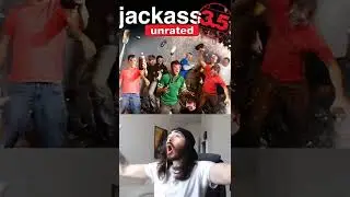Every Jackass Film (including Direct To DVD) Ranked