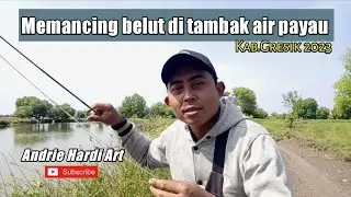 Memancing belut di tambak air payau | Kab.Gresik 2023